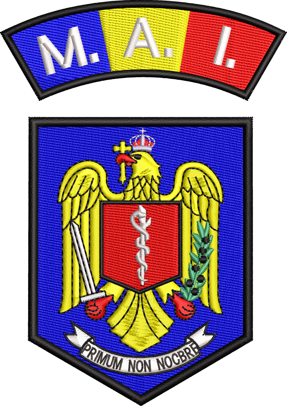 SET EMBLEME DIRECTIA MEDICALA MAI CU TRICOLOR